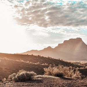 Meet your Posher, Shirena